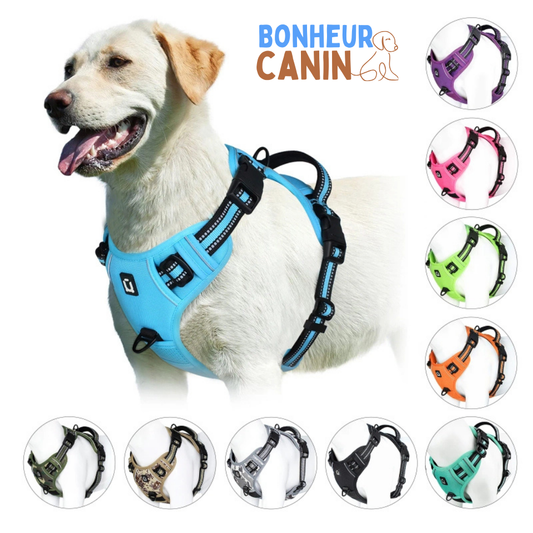 Harnais Anti-Traction | Bonheur Câlin