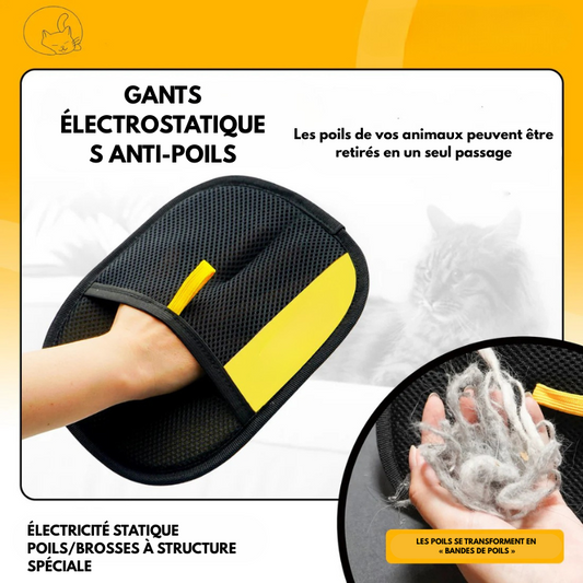Gants de nettoyage pour poils d'animaux